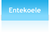 Entekoele