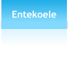 Entekoele